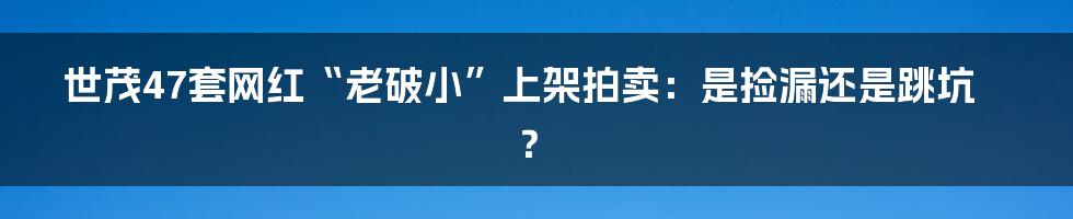 世茂47套网红“老破小”上架拍卖:是捡漏还是跳坑?