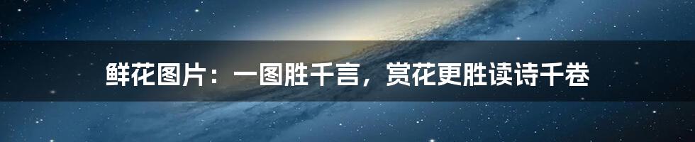鲜花图片:一图胜千言,赏花更胜读诗千卷