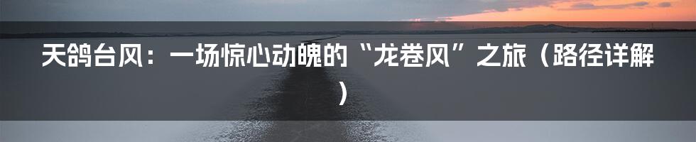 天鸽台风:一场惊心动魄的“龙卷风”之旅(路径详解)