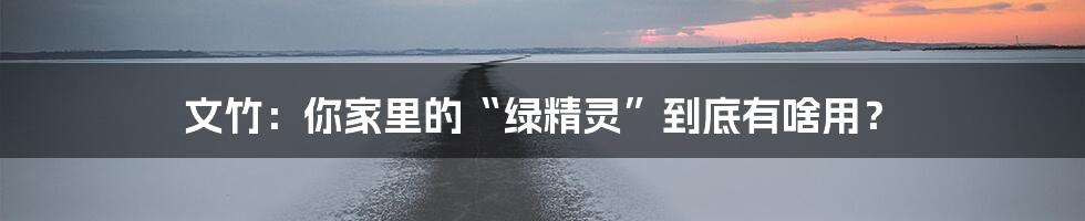 文竹:你家里的“绿精灵”到底有啥用?