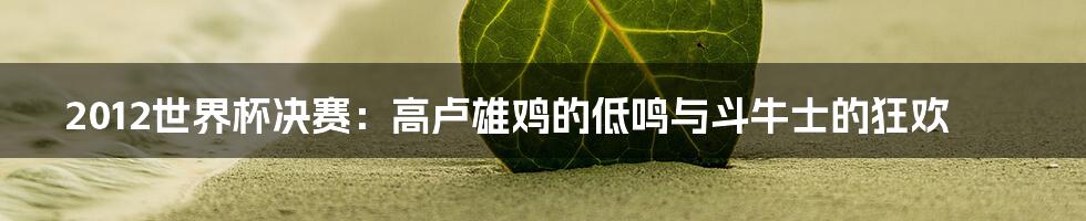 2012世界杯决赛:高卢雄鸡的低鸣与斗牛士的狂欢