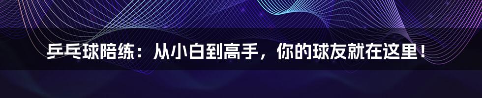 乒乓球陪练：从小白到高手，你的球友就在这里！