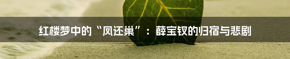 红楼梦中的“凤还巢”：薛宝钗的归宿与悲剧