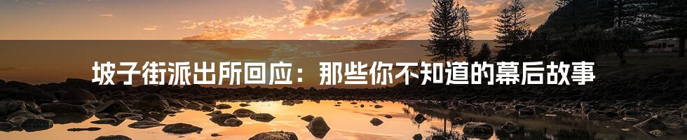 坡子街派出所回应:那些你不知道的幕后故事