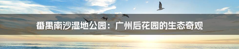 番禺南沙湿地公园:广州后花园的生态奇观