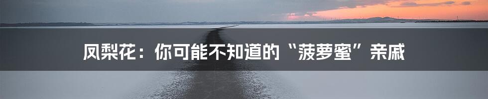 凤梨花:你可能不知道的“菠萝蜜”亲戚