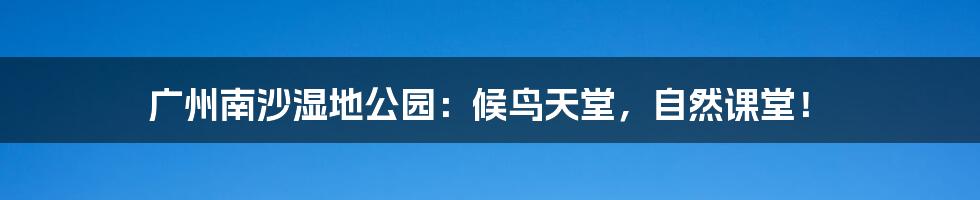 广州南沙湿地公园：候鸟天堂，自然课堂！