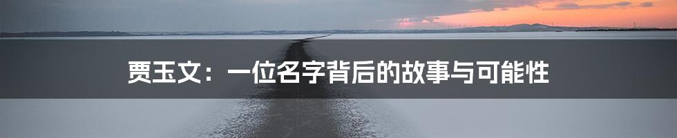 贾玉文:一位名字背后的故事与可能性