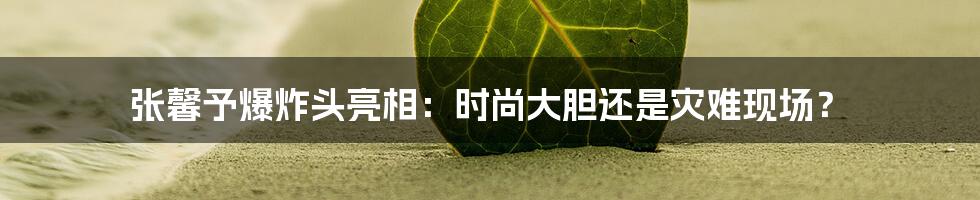 张馨予爆炸头亮相:时尚大胆还是灾难现场?