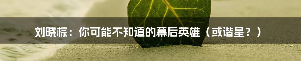 刘晓棕:你可能不知道的幕后英雄(或谐星?)