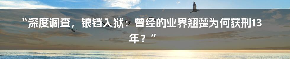“深度调查，锒铛入狱：曾经的业界翘楚为何获刑13年？”