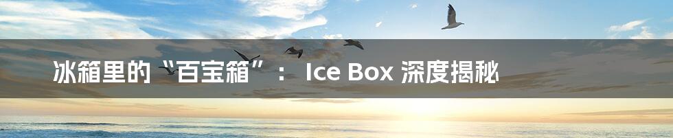 冰箱里的“百宝箱”: Ice Box 深度揭秘