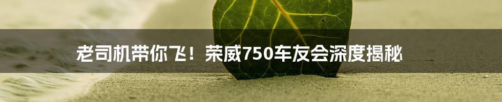老司机带你飞！荣威750车友会深度揭秘