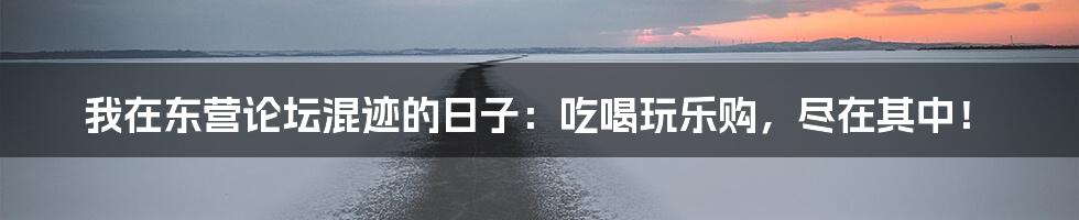 我在东营论坛混迹的日子:吃喝玩乐购,尽在其中!