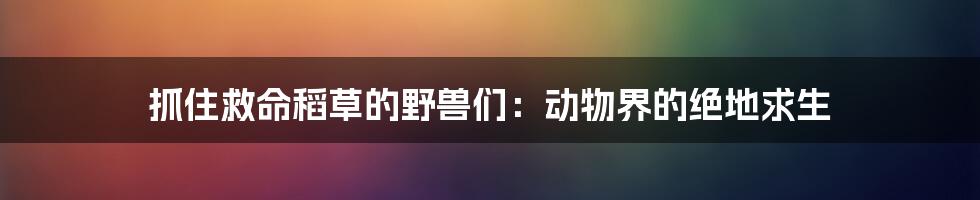 抓住救命稻草的野兽们:动物界的绝地求生