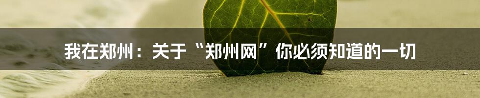 我在郑州:关于“郑州网”你必须知道的一切