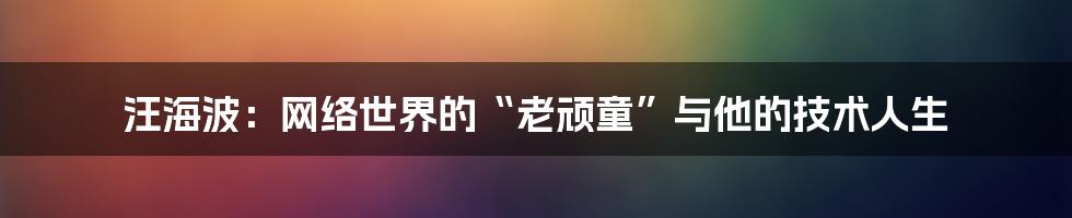 汪海波:网络世界的“老顽童”与他的技术人生