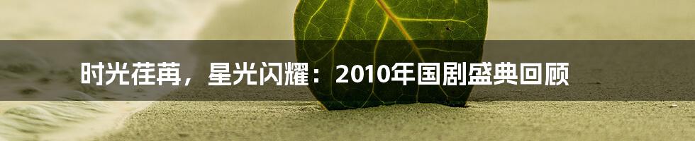 时光荏苒,星光闪耀:2010年国剧盛典回顾
