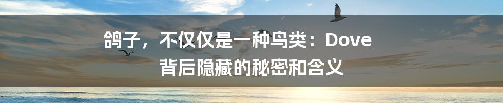 鸽子,不仅仅是一种鸟类:Dove 背后隐藏的秘密和含义
