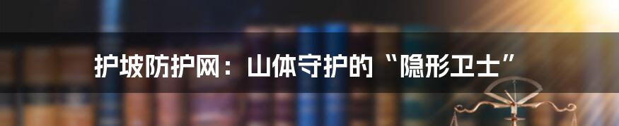 护坡防护网:山体守护的“隐形卫士”