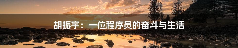 胡振宇:一位程序员的奋斗与生活