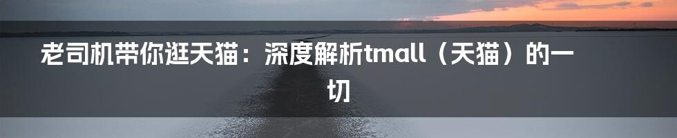 老司机带你逛天猫:深度解析tmall(天猫)的一切