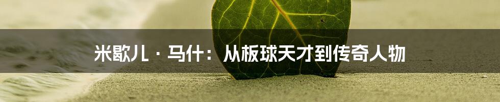 米歇儿·马什:从板球天才到传奇人物