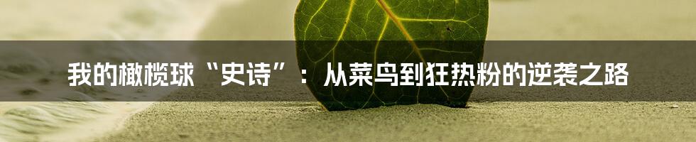 我的橄榄球“史诗”:从菜鸟到狂热粉的逆袭之路