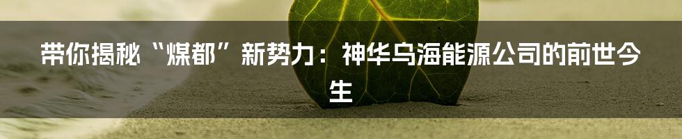 带你揭秘“煤都”新势力:神华乌海能源公司的前世今生