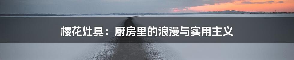 樱花灶具:厨房里的浪漫与实用主义