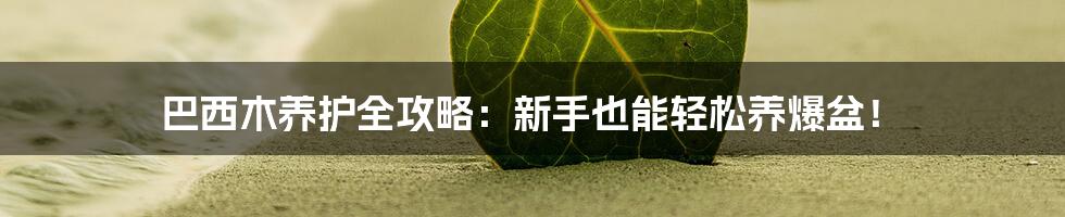 巴西木养护全攻略：新手也能轻松养爆盆！