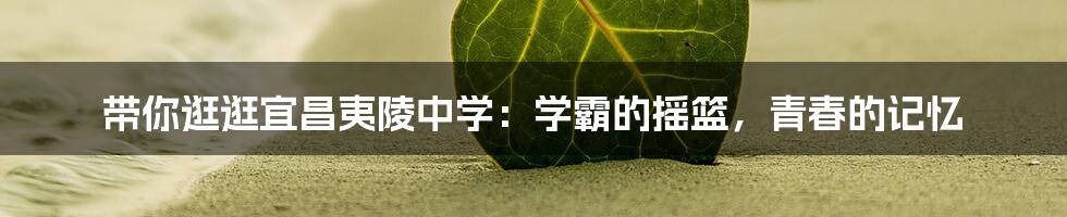 带你逛逛宜昌夷陵中学:学霸的摇篮,青春的记忆