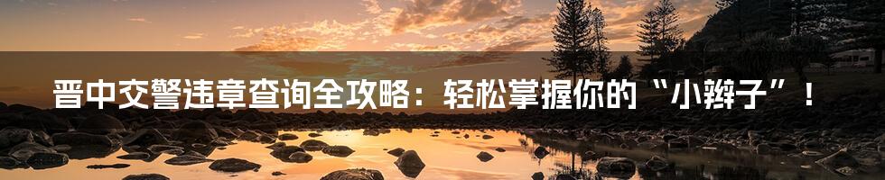晋中交警违章查询全攻略:轻松掌握你的“小辫子”!