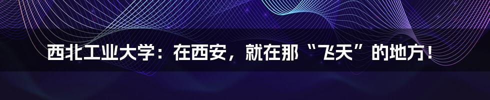 西北工业大学:在西安,就在那“飞天”的地方!