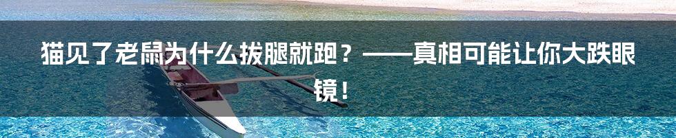 猫见了老鼠为什么拔腿就跑?——真相可能让你大跌眼镜!