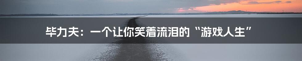 毕力夫:一个让你笑着流泪的“游戏人生”