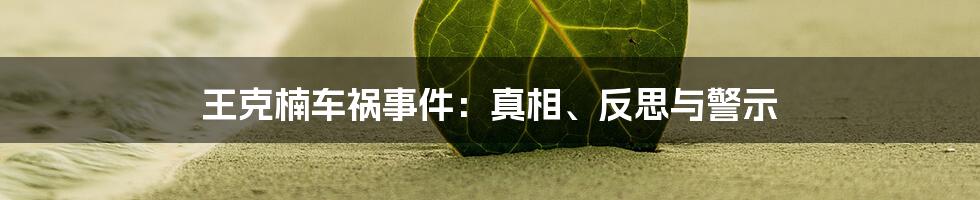 王克楠车祸事件:真相、反思与警示