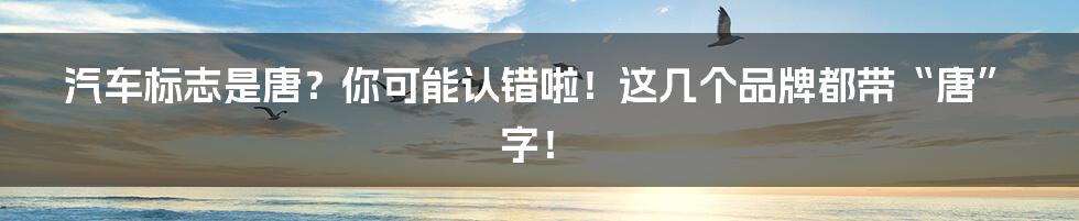 汽车标志是唐?你可能认错啦!这几个品牌都带“唐”字!