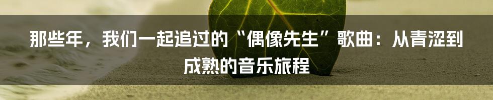 那些年,我们一起追过的“偶像先生”歌曲:从青涩到成熟的音乐旅程