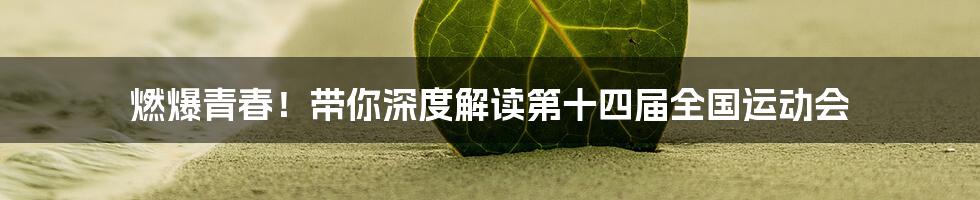 燃爆青春！带你深度解读第十四届全国运动会