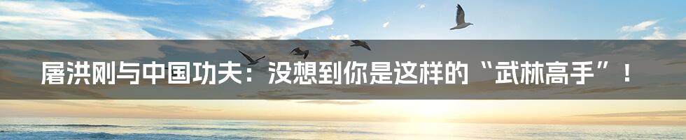 屠洪刚与中国功夫:没想到你是这样的“武林高手”!