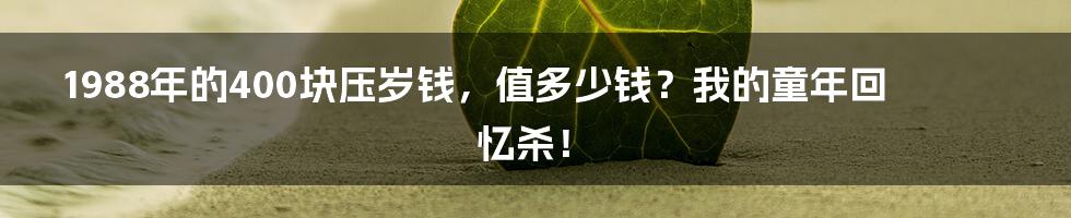 1988年的400块压岁钱,值多少钱?我的童年回忆杀!