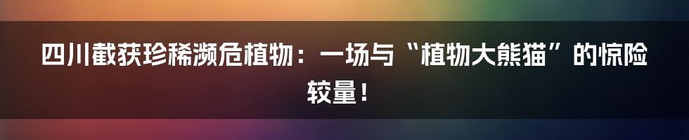 四川截获珍稀濒危植物:一场与“植物大熊猫”的惊险较量!