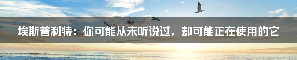 埃斯普利特:你可能从未听说过,却可能正在使用的它
