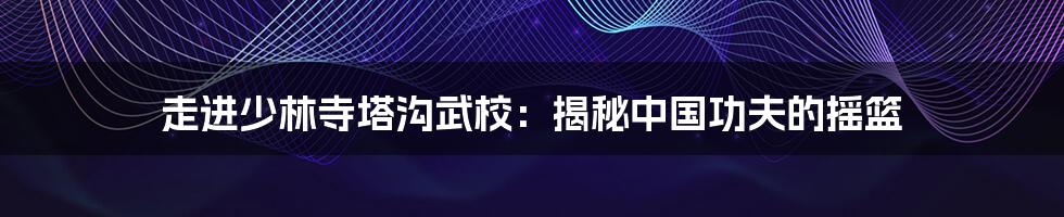 走进少林寺塔沟武校:揭秘中国功夫的摇篮