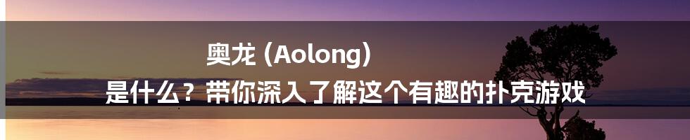 奥龙 (Aolong) 是什么?带你深入了解这个有趣的扑克游戏