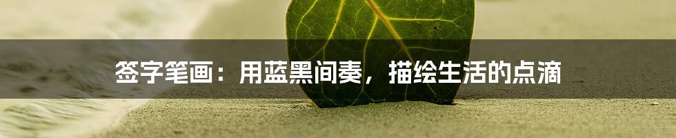 签字笔画:用蓝黑间奏,描绘生活的点滴