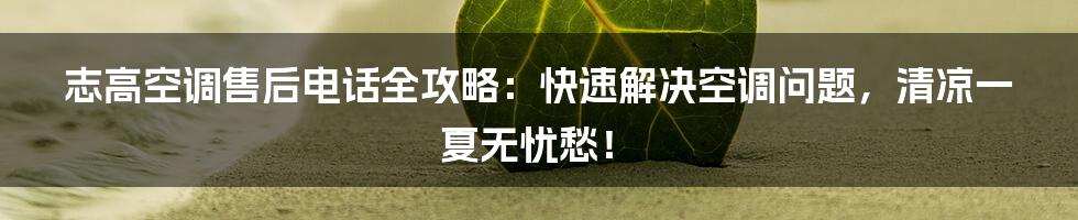 志高空调售后电话全攻略:快速解决空调问题,清凉一夏无忧愁!