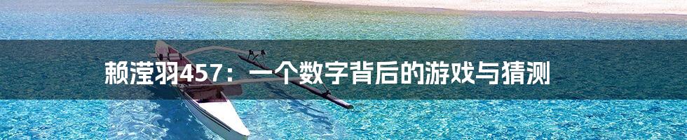 赖滢羽457:一个数字背后的游戏与猜测