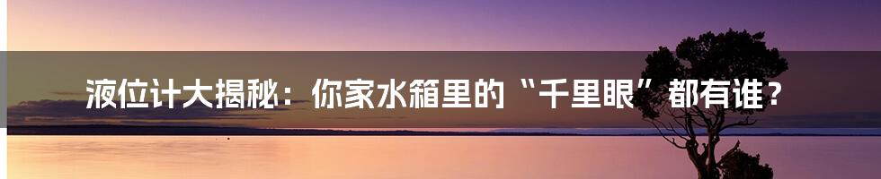 液位计大揭秘:你家水箱里的“千里眼”都有谁?